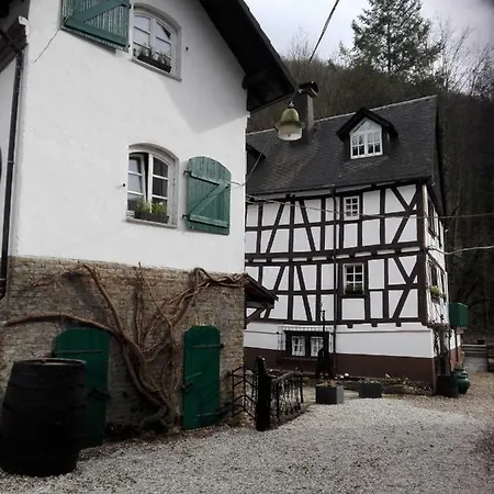 Hébergement de vacances Muhle Braun Ferienhaus